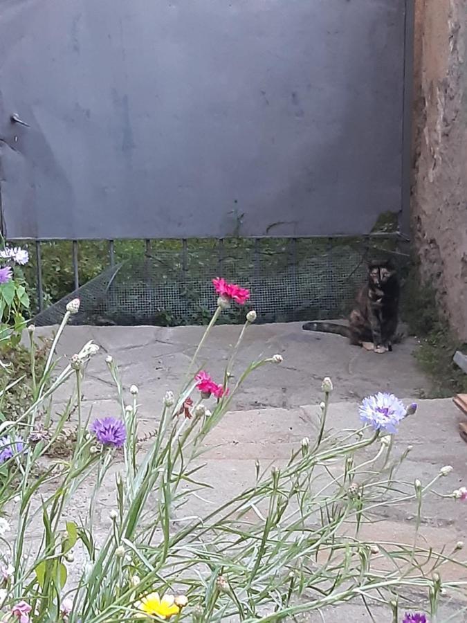 La Marmotta Hotel Luserna San Giovanni Kültér fotó