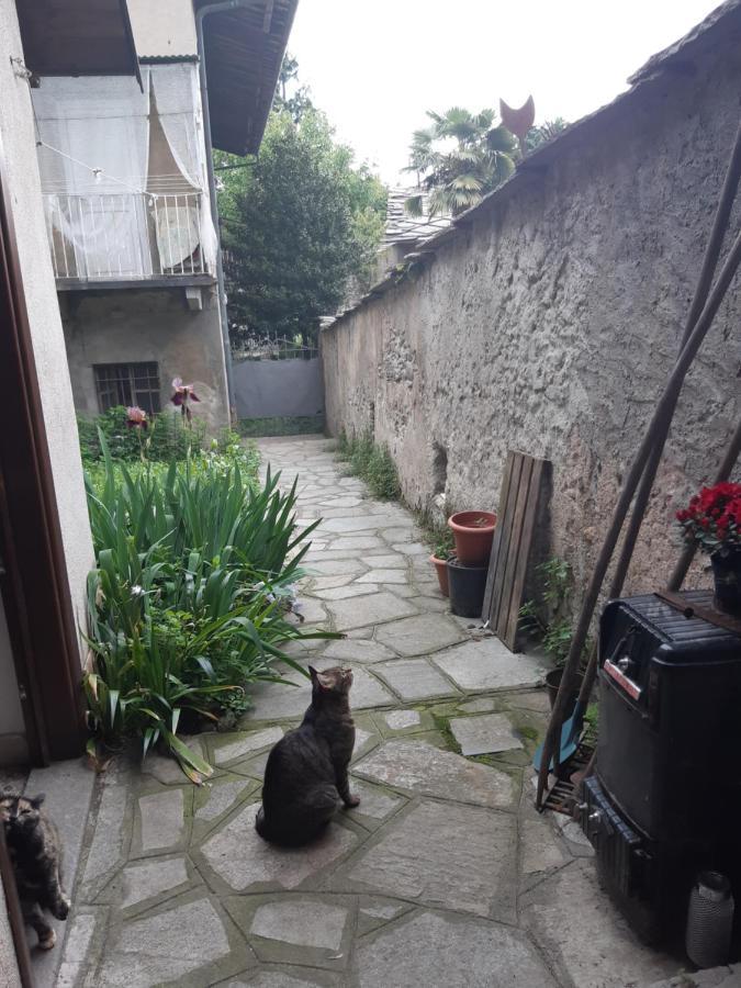 La Marmotta Hotel Luserna San Giovanni Kültér fotó