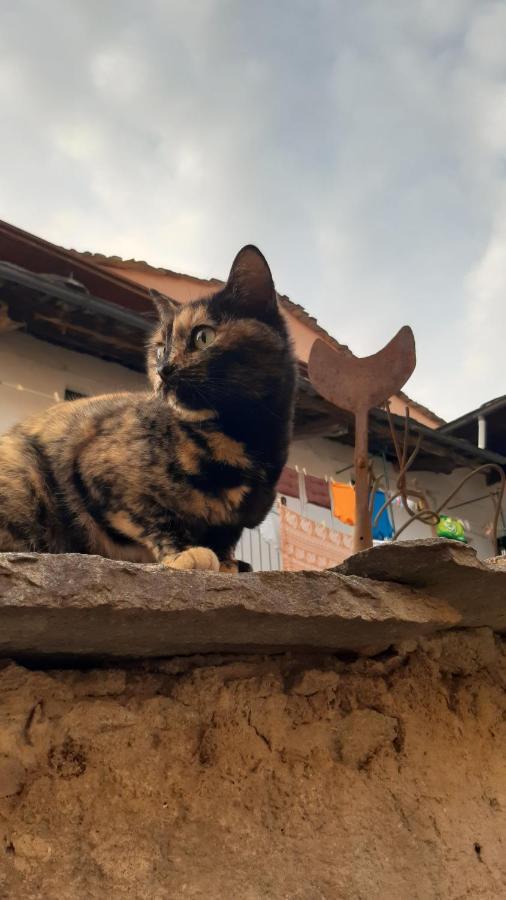 La Marmotta Hotel Luserna San Giovanni Kültér fotó