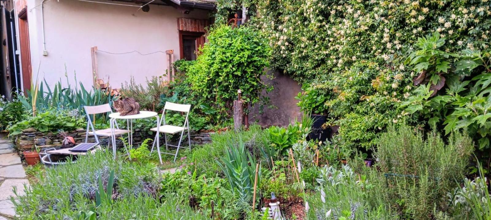 La Marmotta Hotel Luserna San Giovanni Kültér fotó